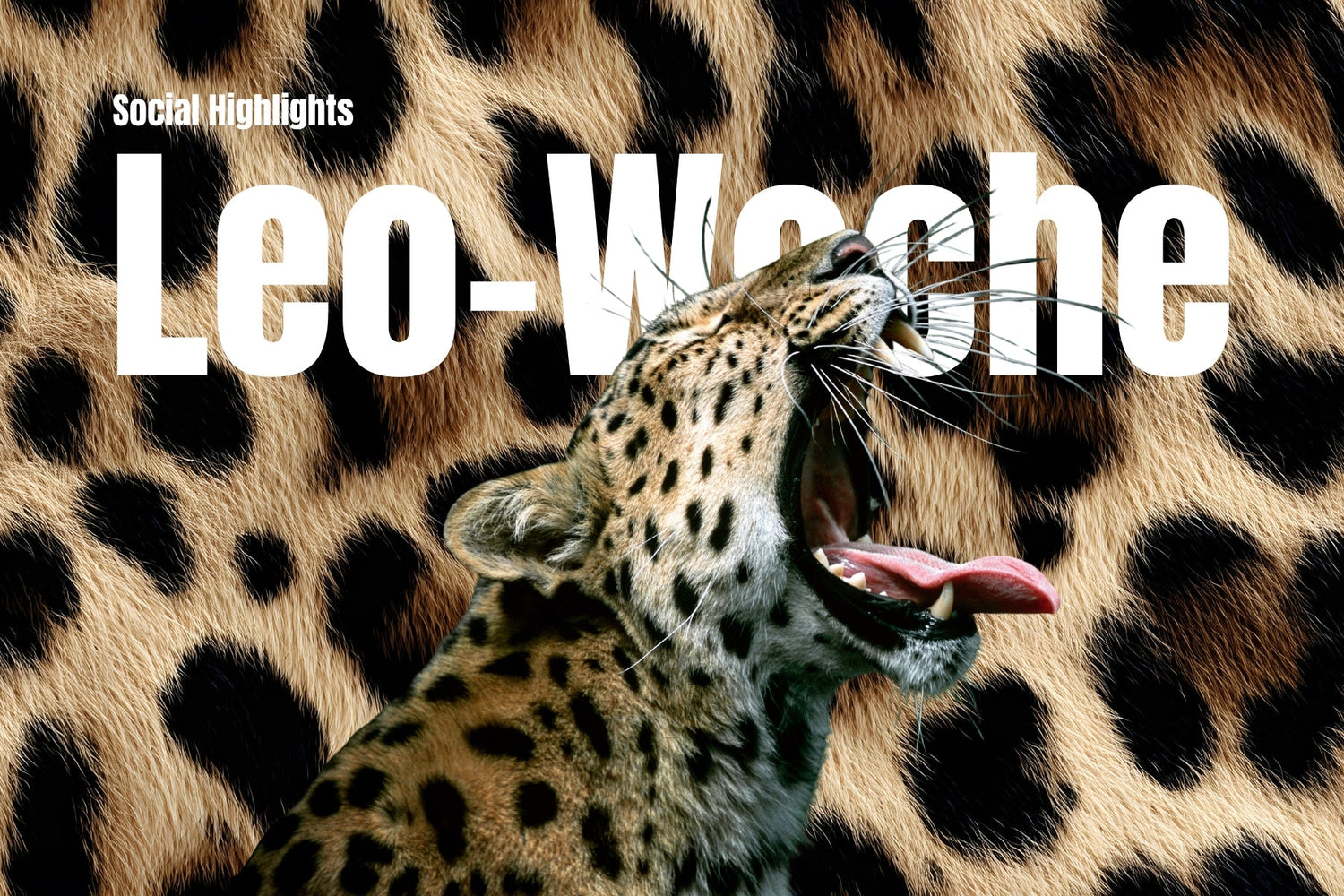 Leo-Woche