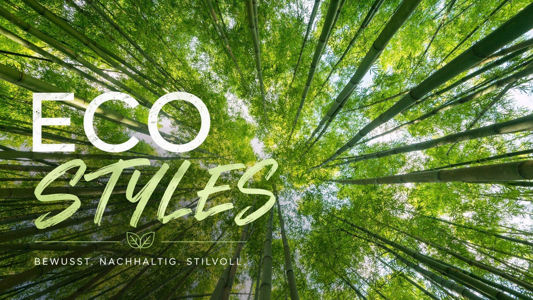 Eco Styles – Nachhaltige Mode mit Bambuswald als Symbol für Umweltbewusstsein, langlebige Qualität und stilvolle, nachhaltige Kleidung.