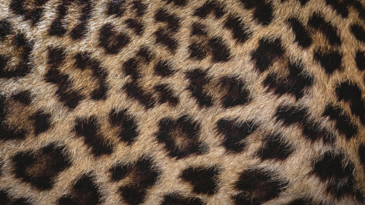 Nahaufnahme eines weichen Stoffes mit klassischem Leo-Muster in Braun-, Beige- und Schwarztönen.