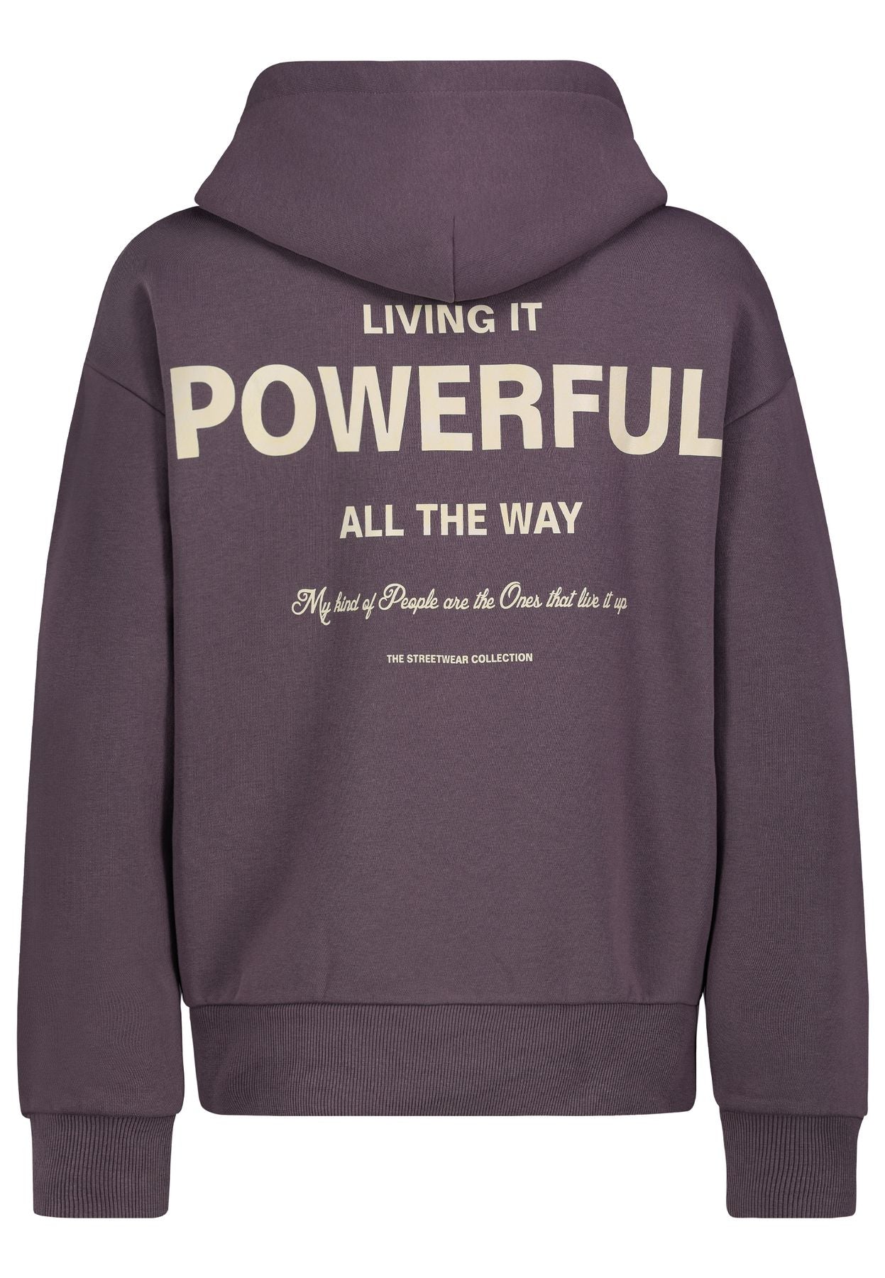 DOB Sweat, langarm, Kapuze mit Abnä