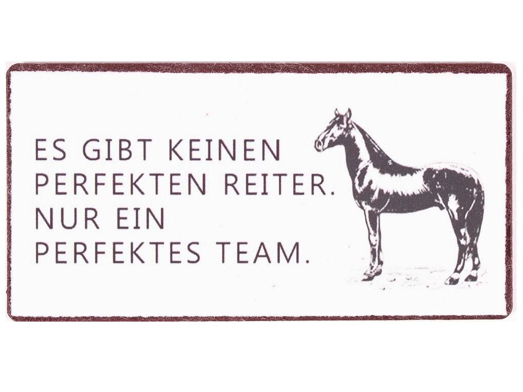 ES GIBT KEINEN PERFEKTEN REITER...