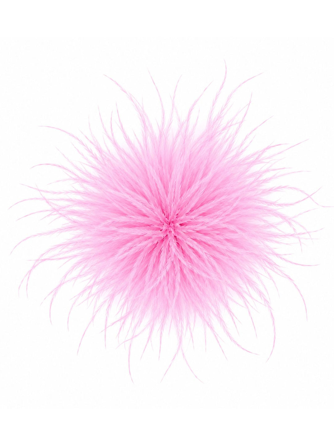 Federblüte Haarclip und Brosche