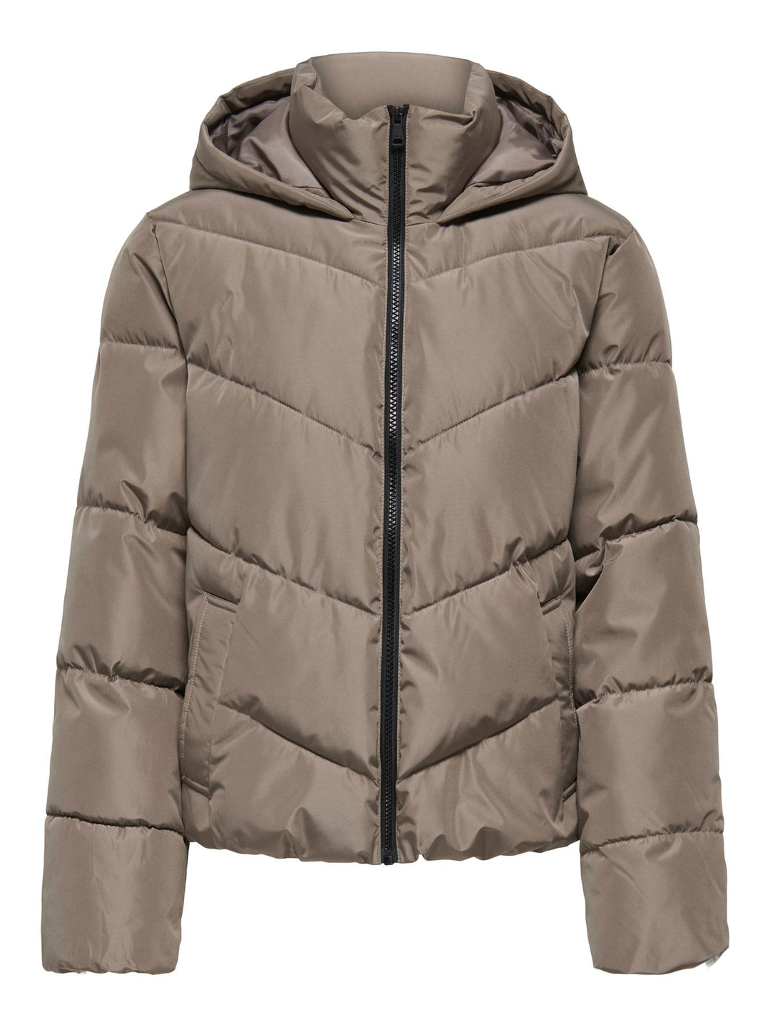 ONLY ONLCLAIR Pufferjacke mit Kapuze in Walnussbraun