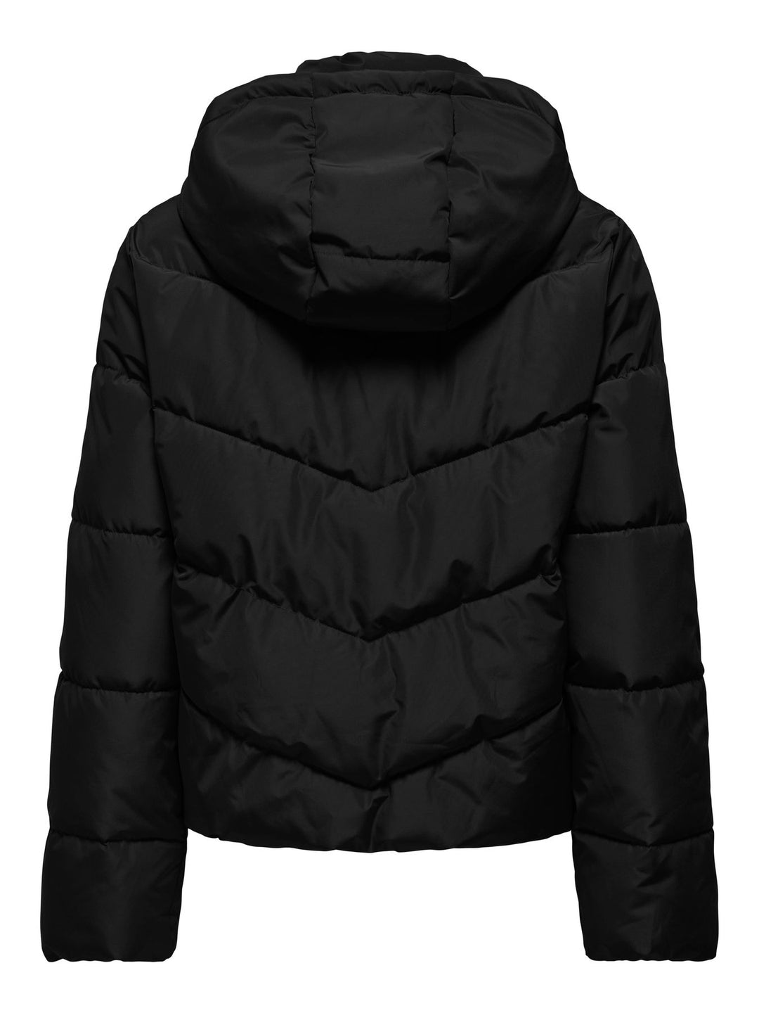 ONLY ONLCLAIR Pufferjacke mit Kapuze in Schwarz