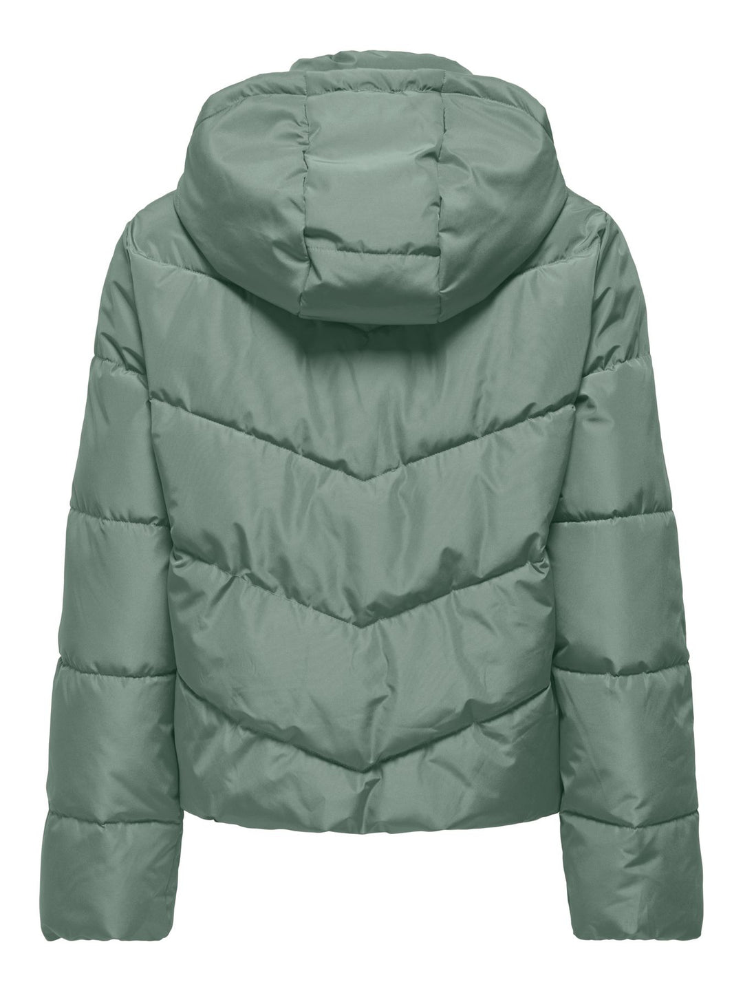 ONLY ONLCLAIR Pufferjacke in Lily Pad