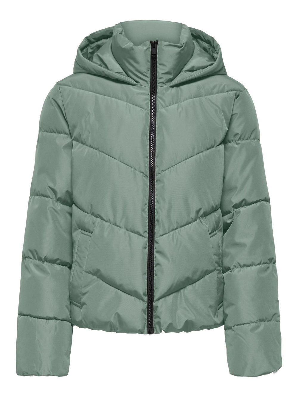 ONLY ONLCLAIR Pufferjacke in Lily Pad
