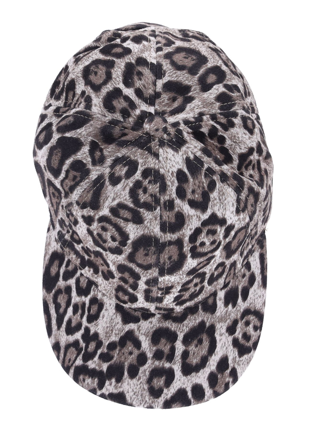 Cap Leo Teddy - Splash of Color
