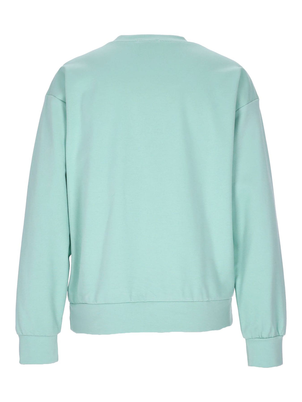 Damen Sweatshirt mit Blumenstickerei – Hellgrün